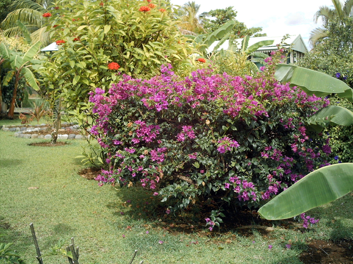 15 - Bungalow 001.jpg